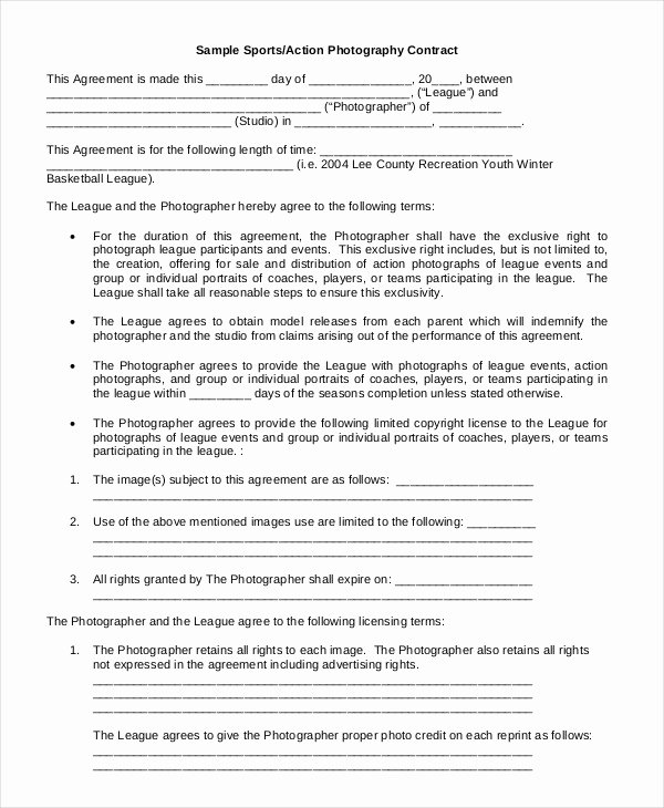 Graphy Contract Example 11 Free Word Pdf Documents