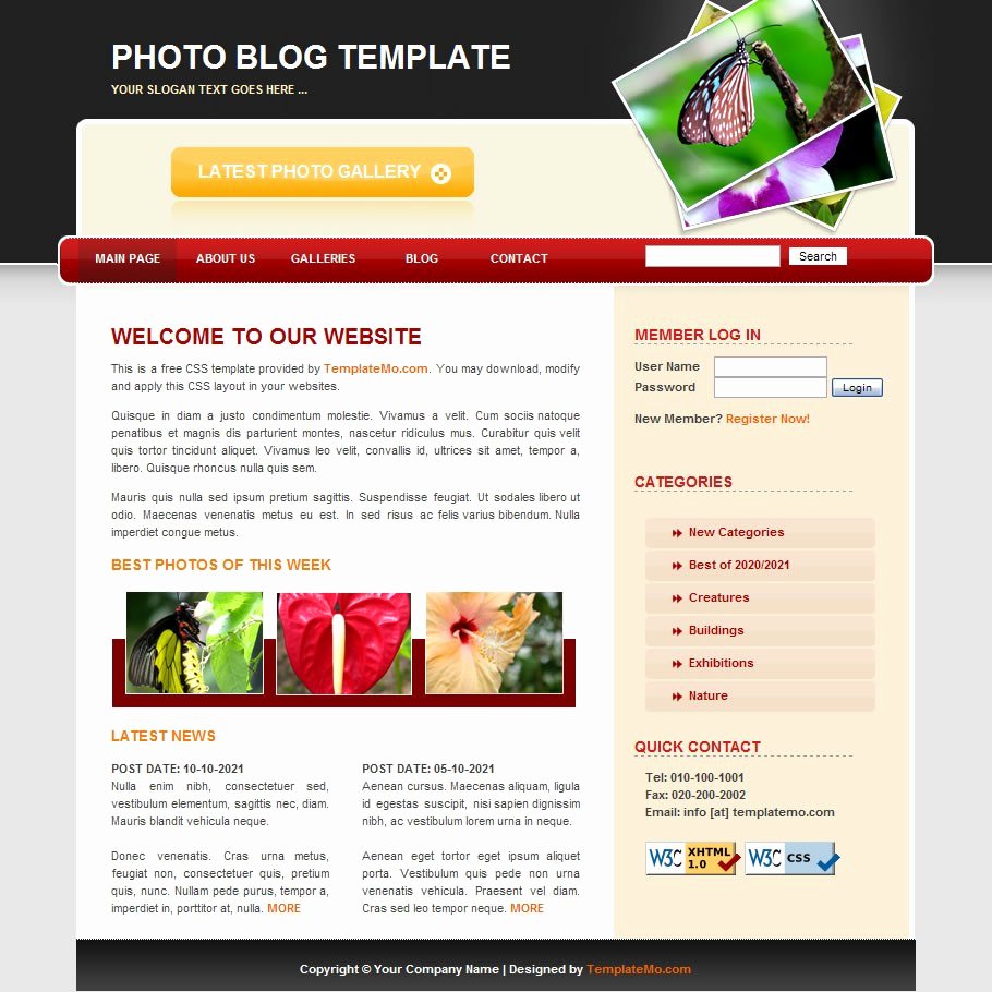 Graphy – Free HTML Website Templates