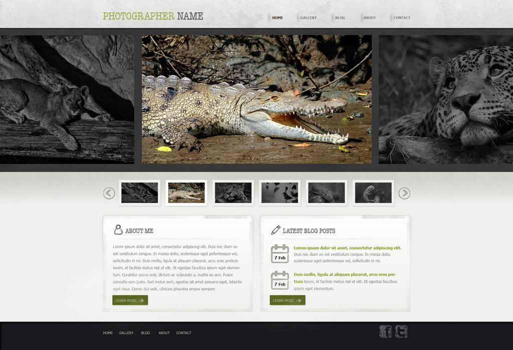 Graphy Website Template