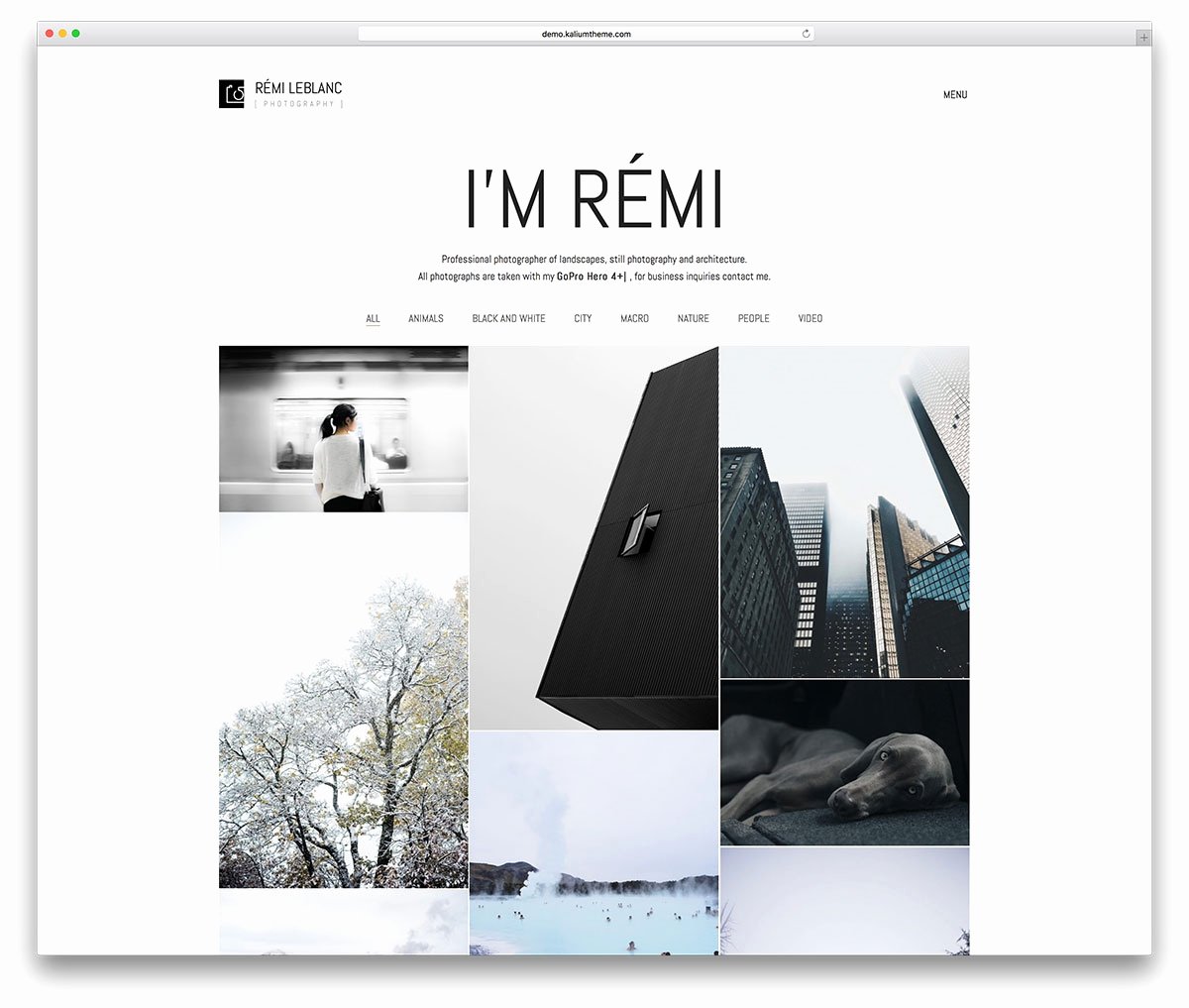 Graphy Website Templates