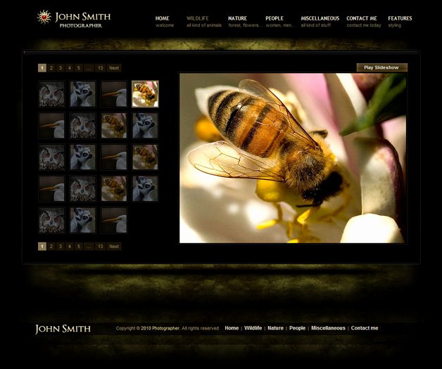 photography website templates