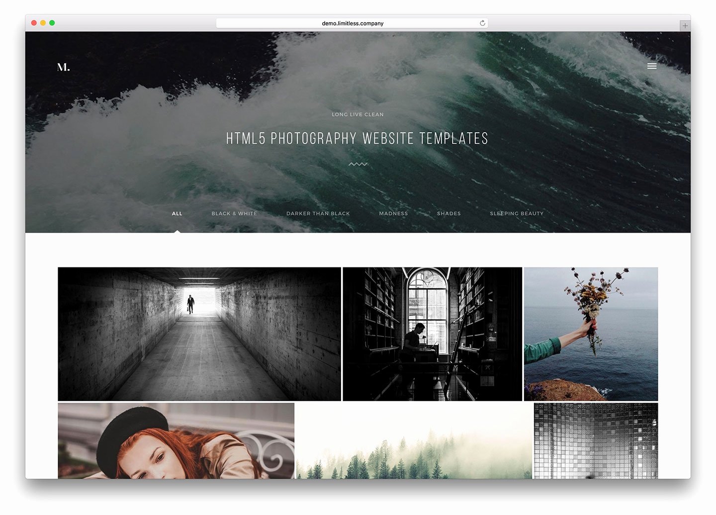 photography website templates