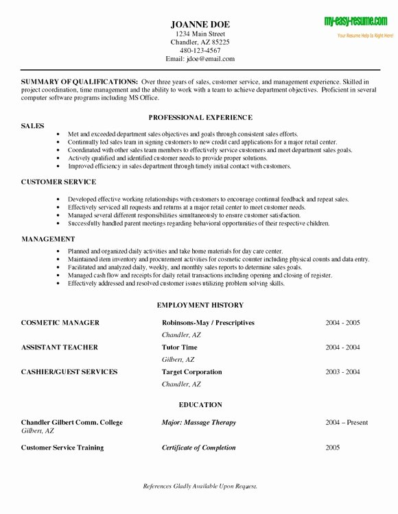 Great Entry Level Resume Examples Best Resume Gallery