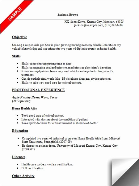 Home Health Aide Resume Sample Resume Examples