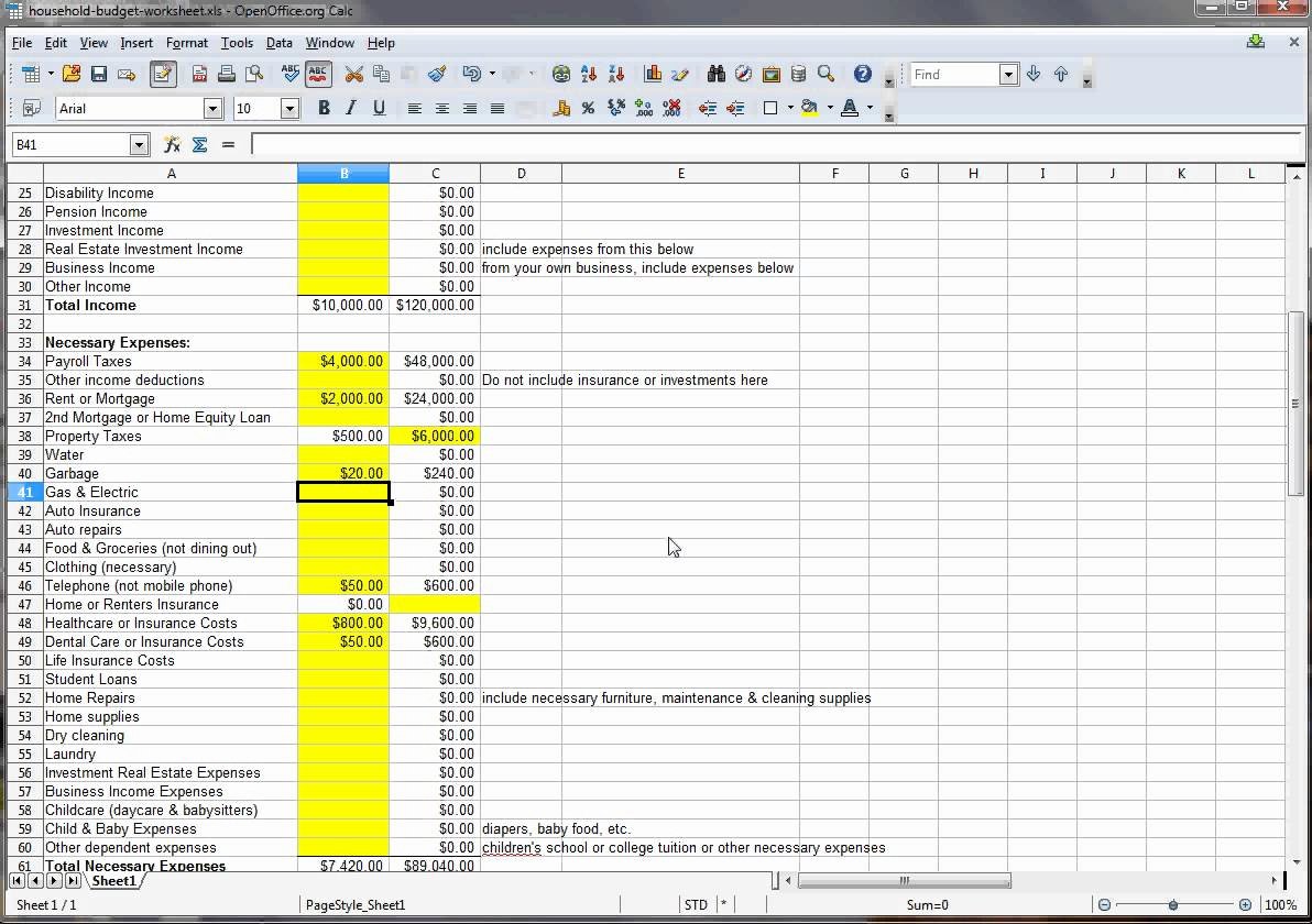 household bud excel template