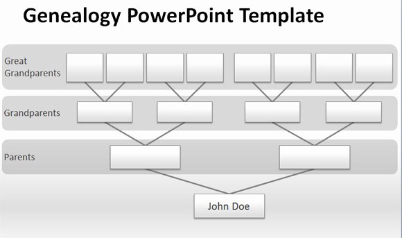 How to Make A Management Tree Template In Powerpoint From