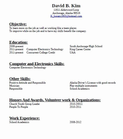 How to Make A Resume for Job with No Experience Sample
