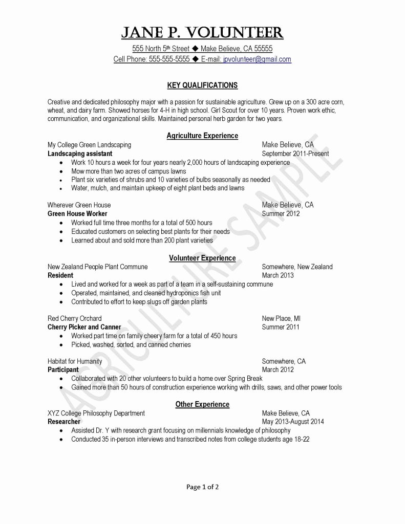 How to Make A Resume Template