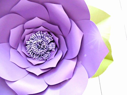 How to Make Giant Paper Flowers Step by Step Tutorial