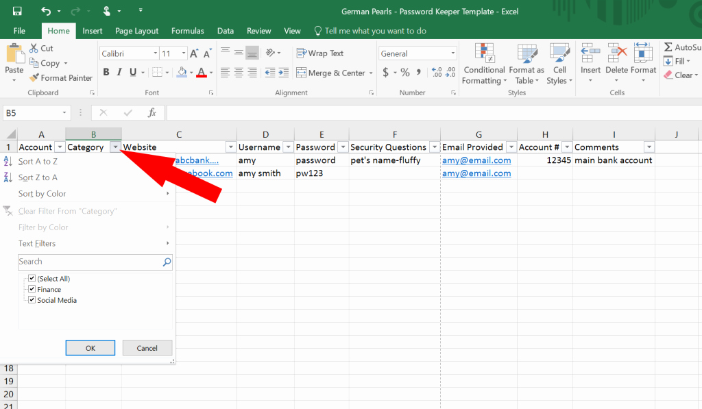 excel password keeper