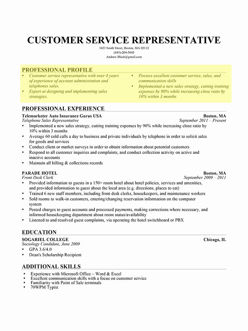 How to Write A Resume Profile Examples &amp; Writing Guide
