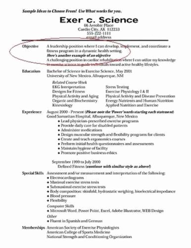 how to write a resume objective