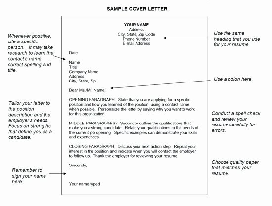 How to Write Cover Letter In Email Body