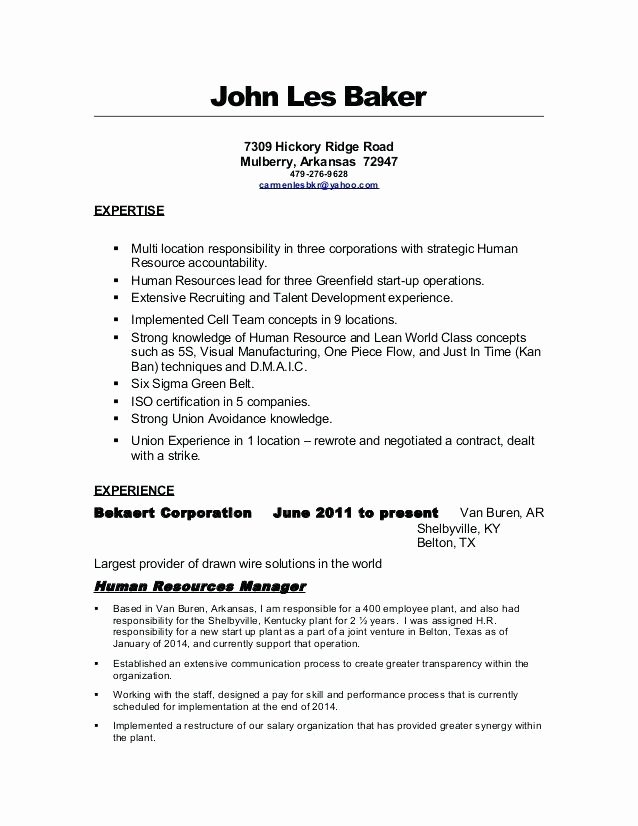 Human Resources Resume Objective Statement Examples for Hr