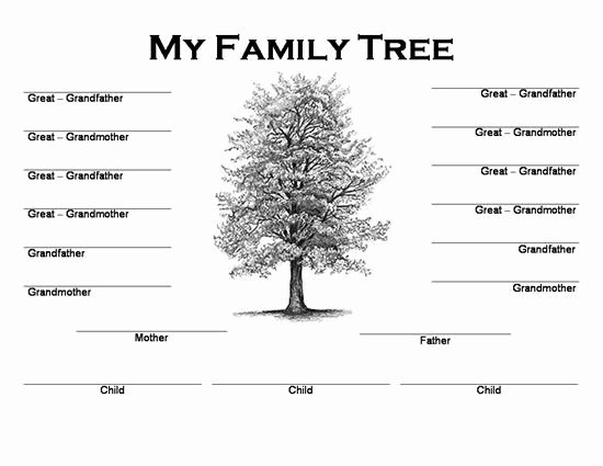 Image Result for Family Tree Maker Free Printable