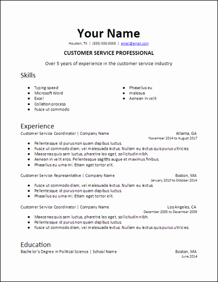 Industry Specific Professional Summary Resume Template