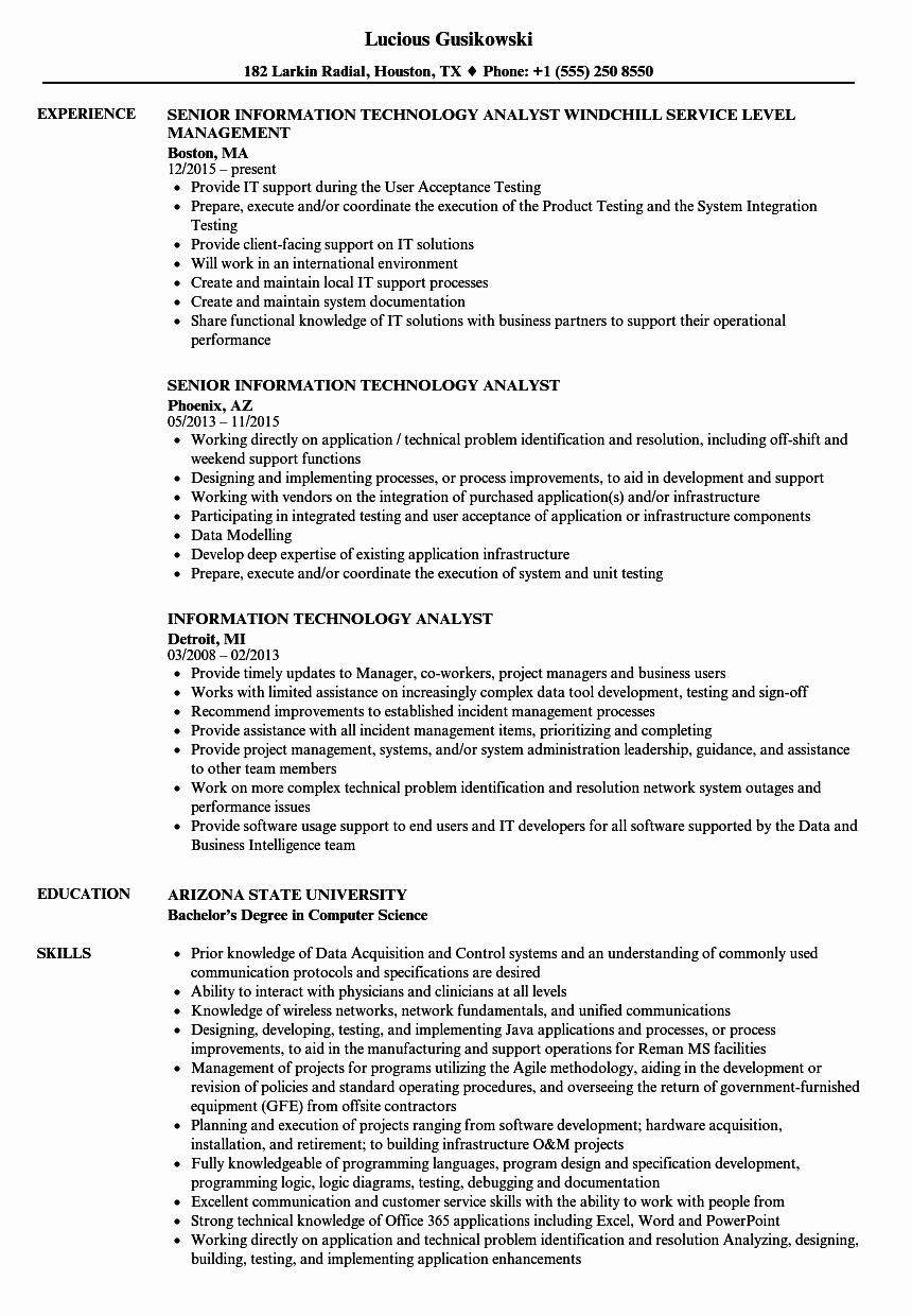 Information Technology Analyst Resume Samples