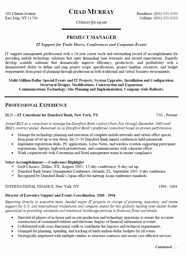 Information Technology It &amp; Project Manager Resume Example