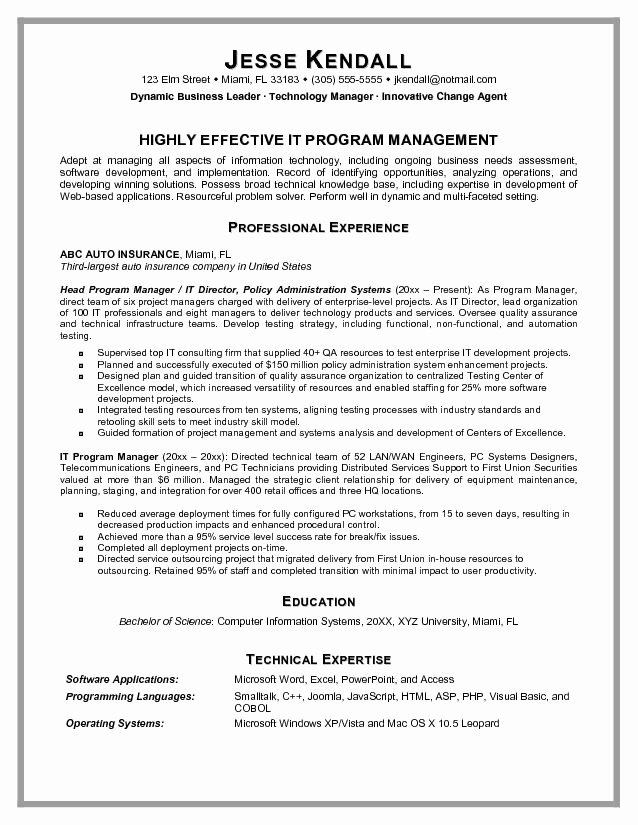 Information Technology Manager Resume Examples Objective
