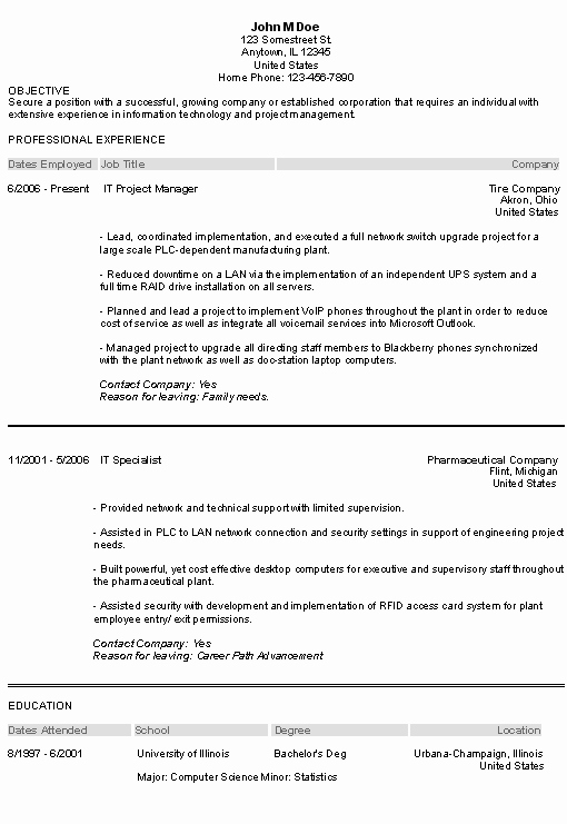 Information Technology Resume Example