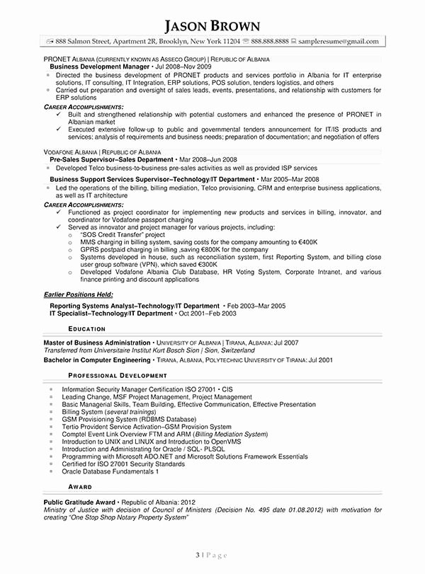 Information Technology Resume Examples