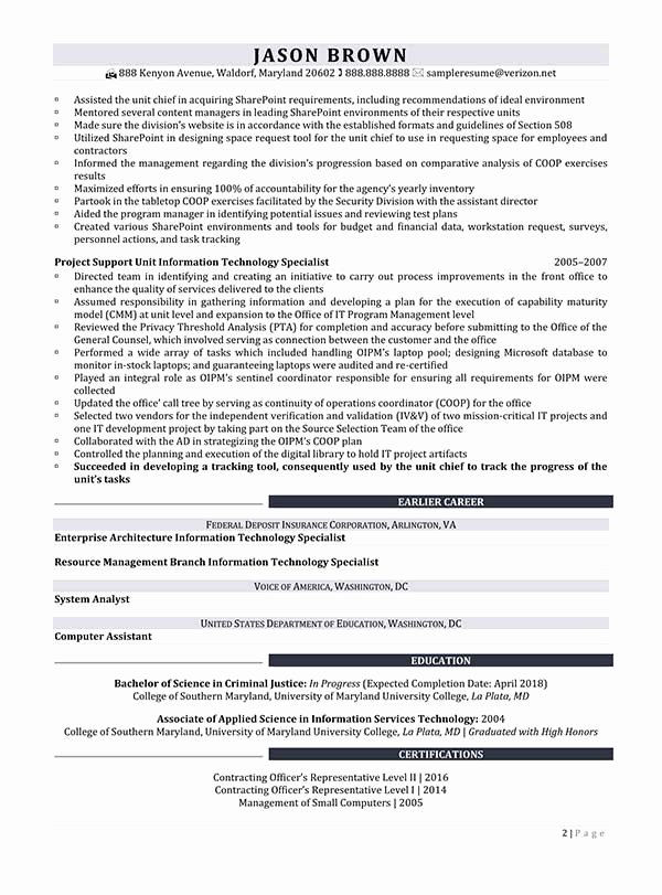 Information Technology Resume Examples
