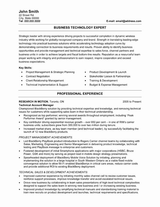 Information Technology Resume Template