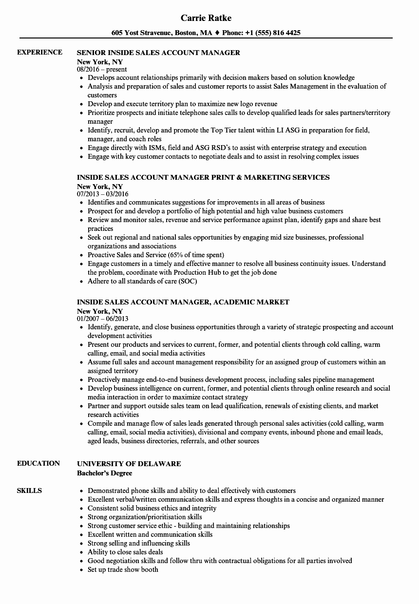 Inside Sales Account Manager Resume Samples