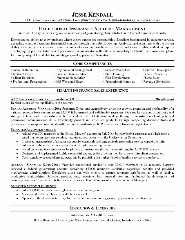 Insurance Account Manager Resume