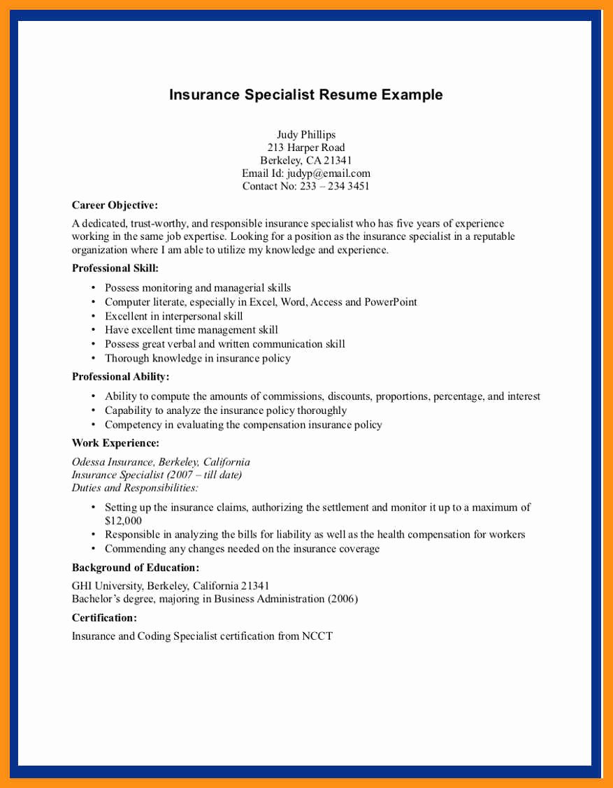 Insurance Agent Resume Examples