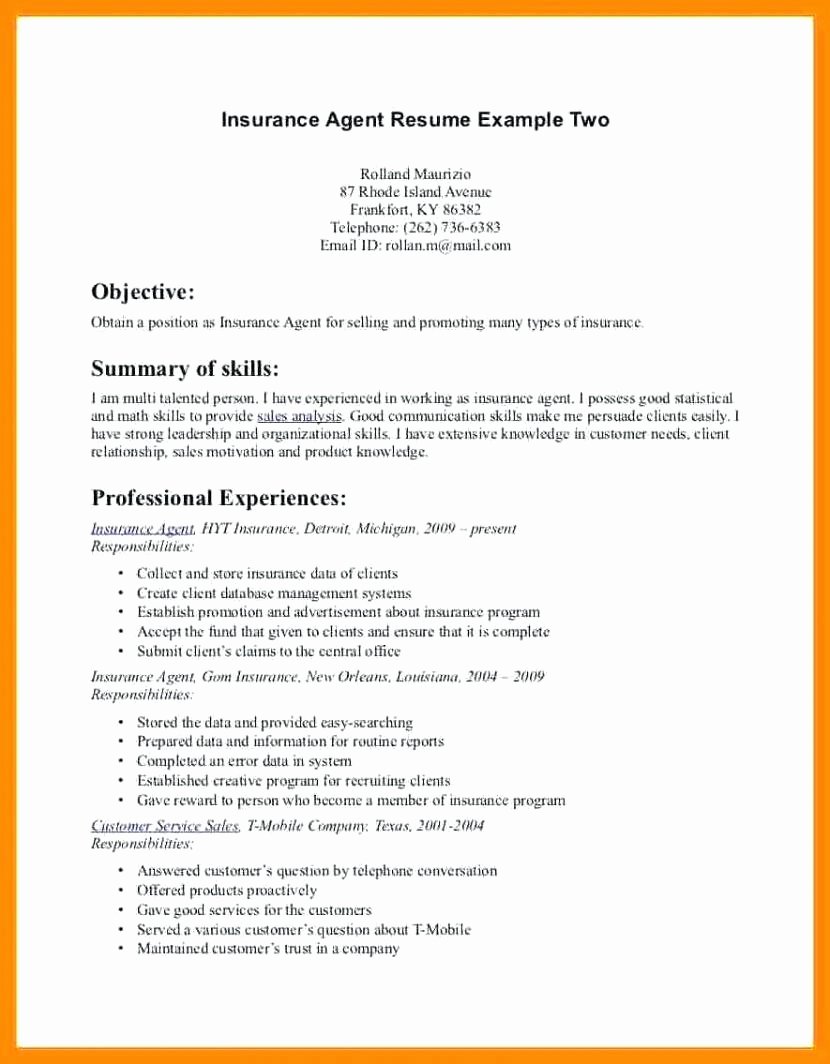 Insurance Agent Resume Sample Sarahepps