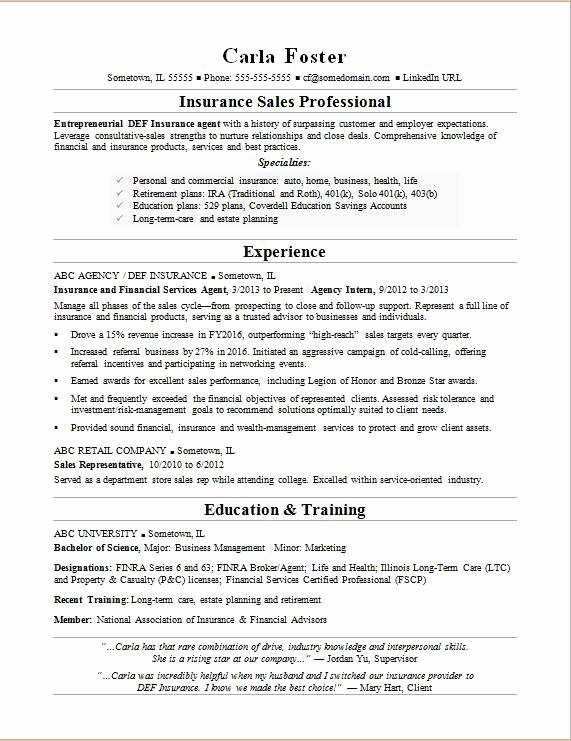 Insurance Resume Examples