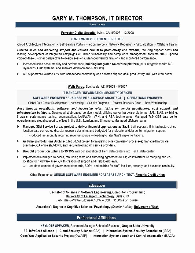 IT Director Sample Resume