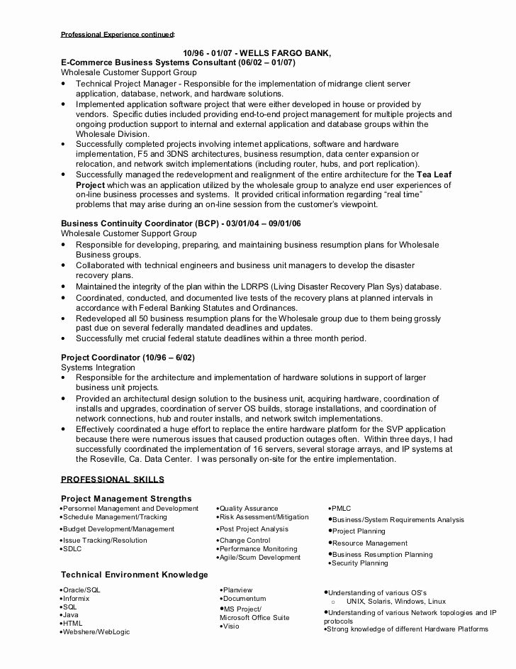 It Program Manager Resume Classy Here to Download