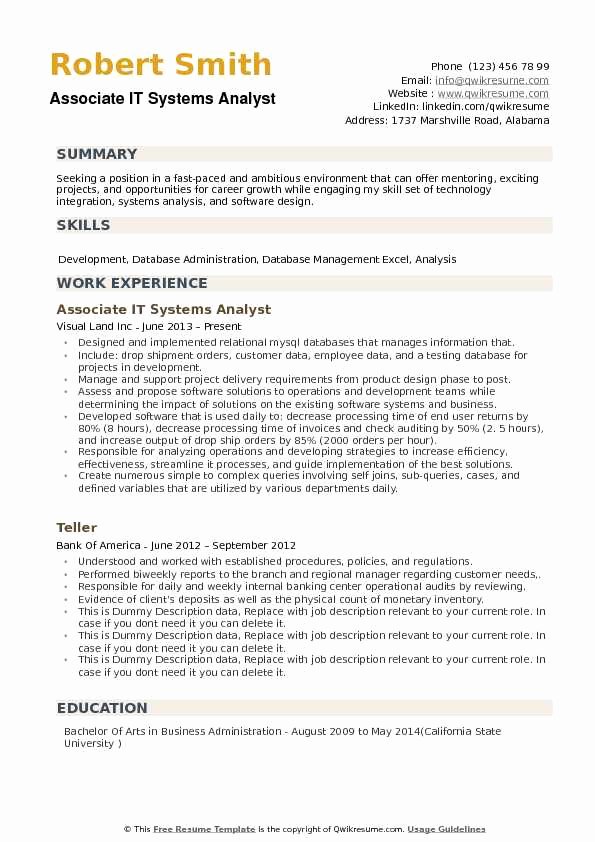 It Systems Analyst Resume Samples