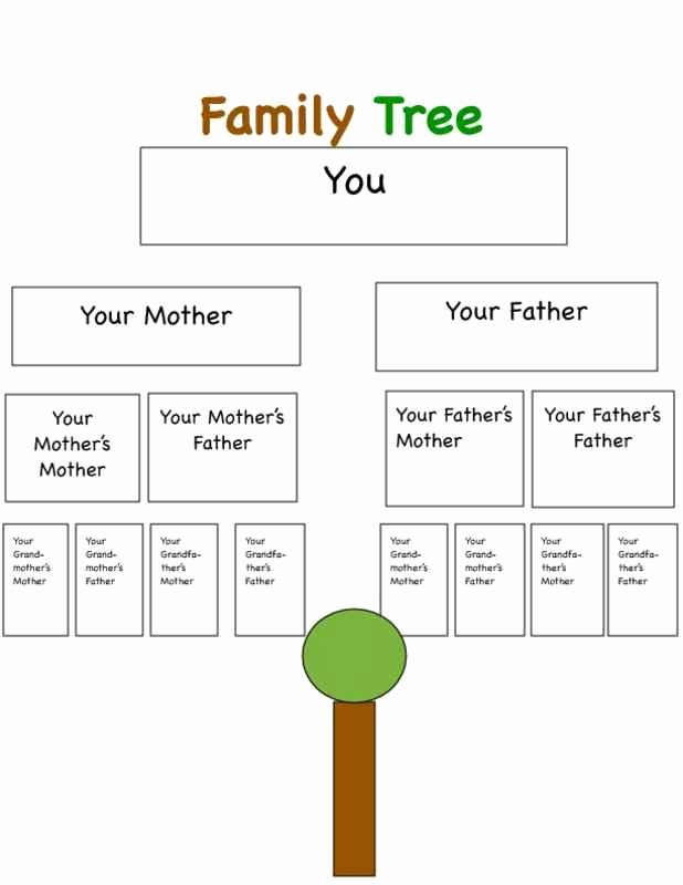Italian Family Tree Vocabulary Google Search