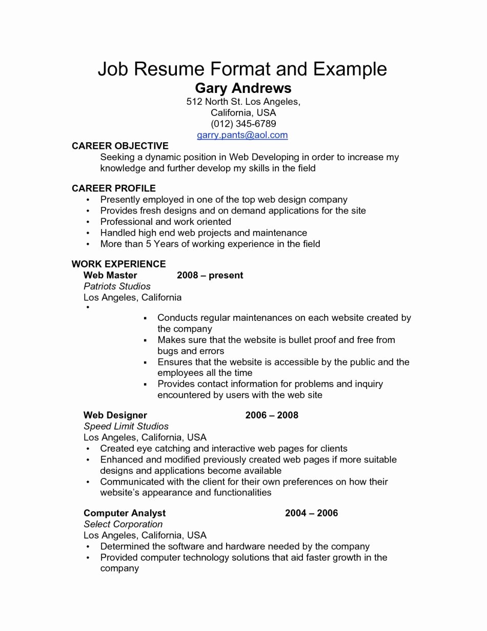 Job Aid Template Word 2010 – Perfect Resume format