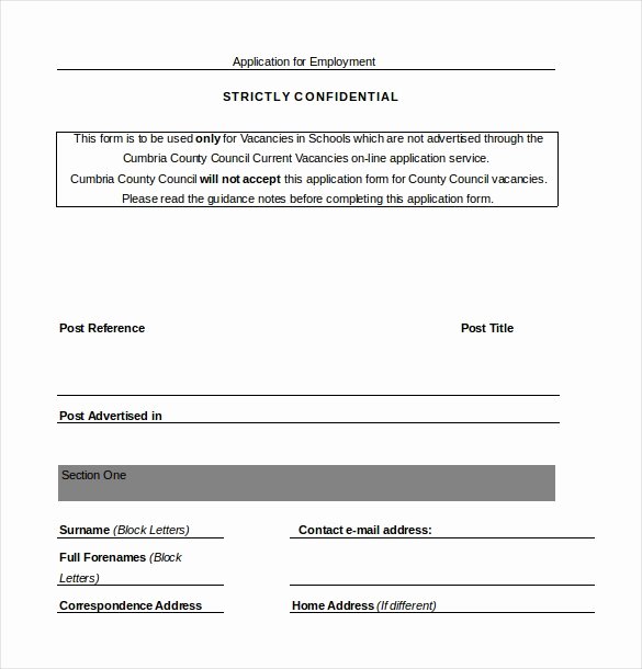 Job Application Template 19 Examples In Pdf Word