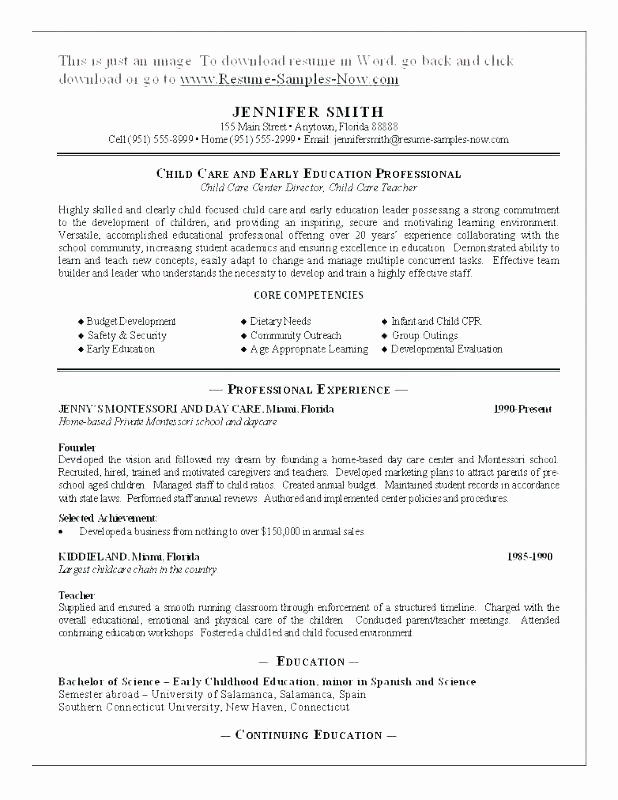 Job Description for Child Care Director Day Resume