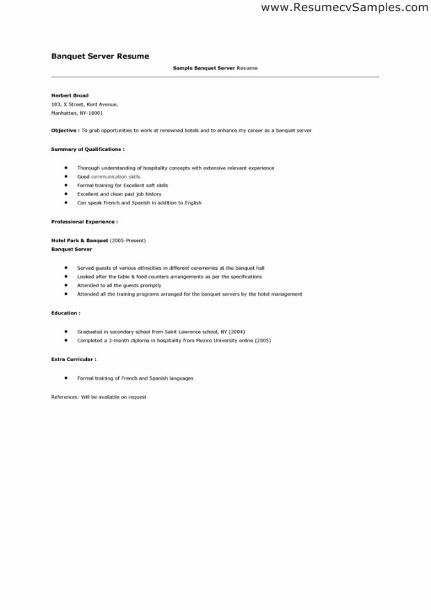 Job Description for Resume Server