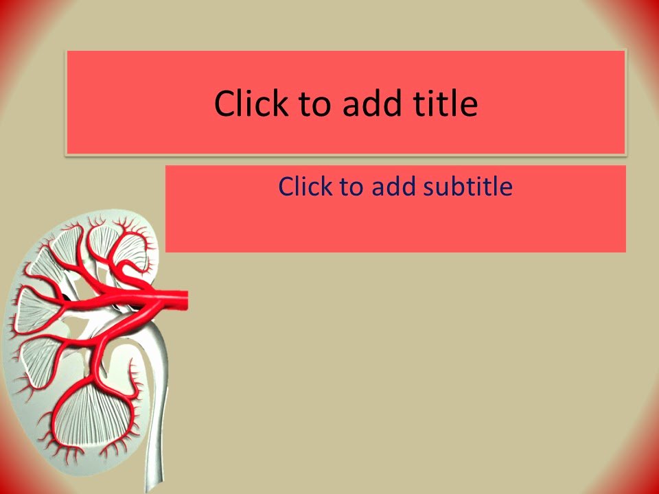 Kidney Powerpoint Template Free Download Free Medical
