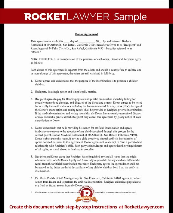 Contracts forDonors Template Letter Example Template