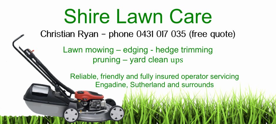 Lawn Care Flyer