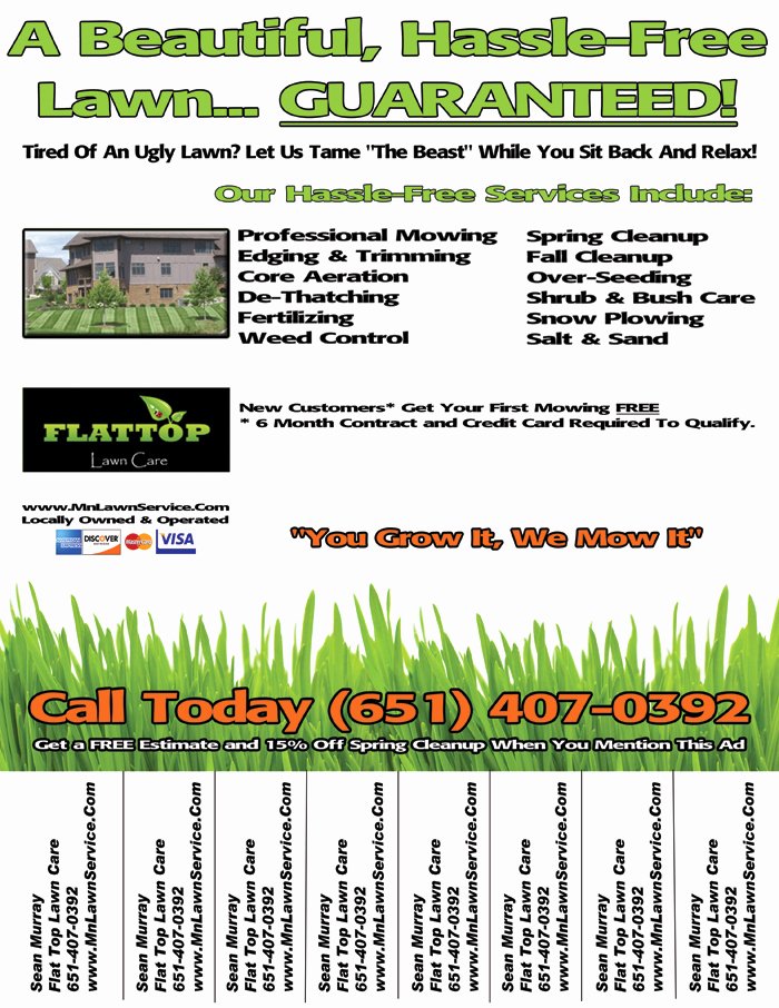 Lawn Care Flyer