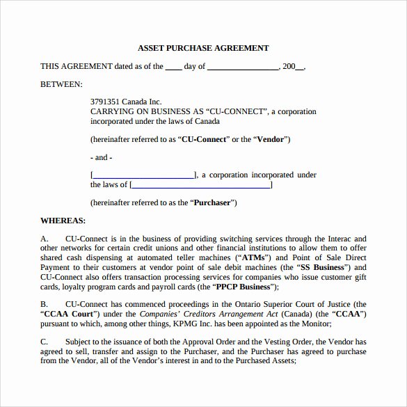 Llc Purchase Agreement Template Templates Resume