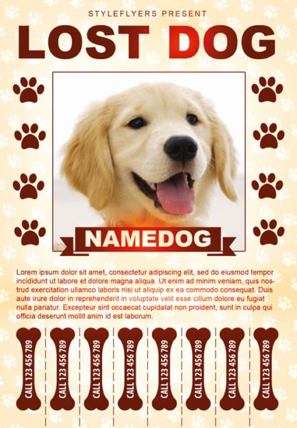 Lost Dog Free Flyer Template Download for Shop