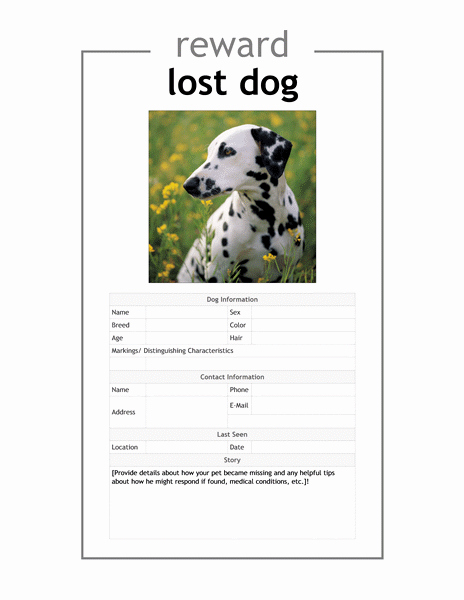 Lost Dog Template Flyer Yourweek 51c8e0eca25e