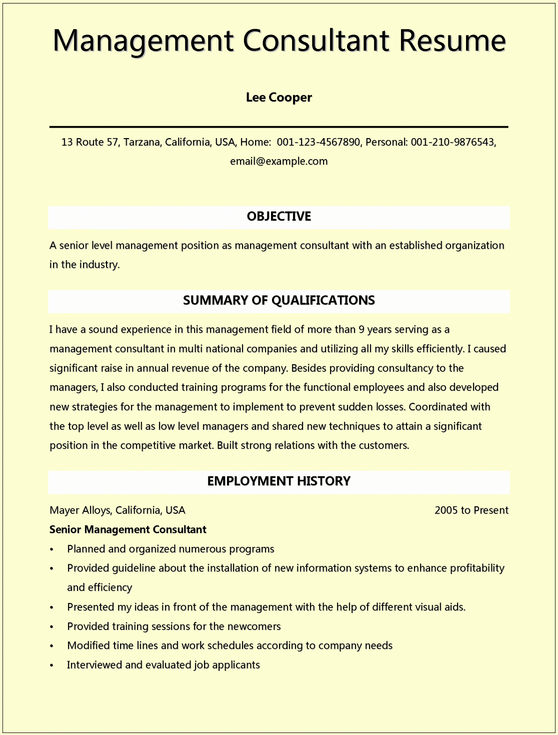 Management Consulting Resume Examples for Microsoft Word