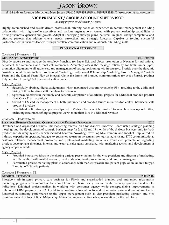 Marketing Public Relations and Advertising Resume Samples
