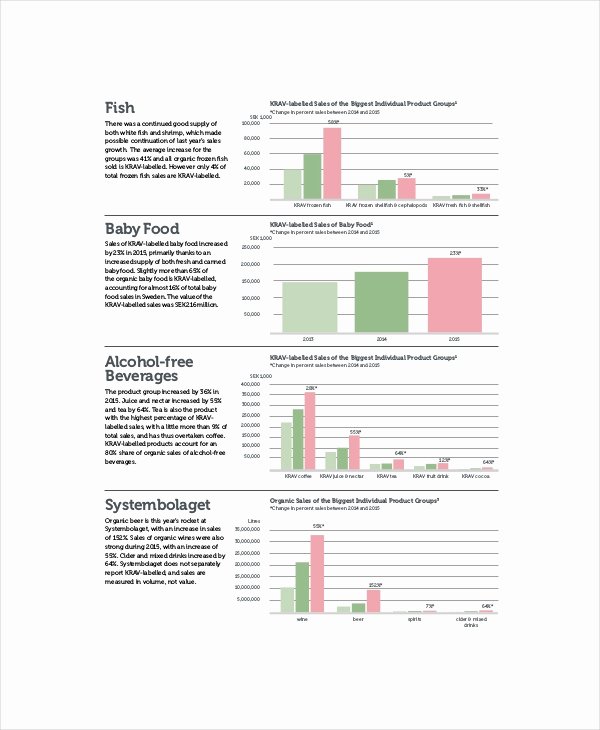 Market Research Report Template